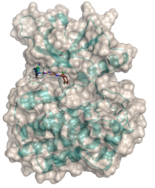 44426f07f13044b98d338f840d9a4a49